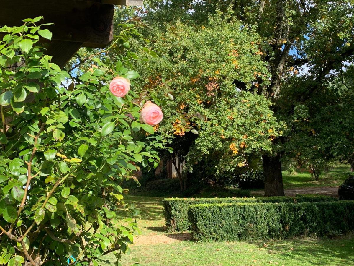 Majellon Grand Appartement Sainte-Christie-d'Armagnac Luaran gambar